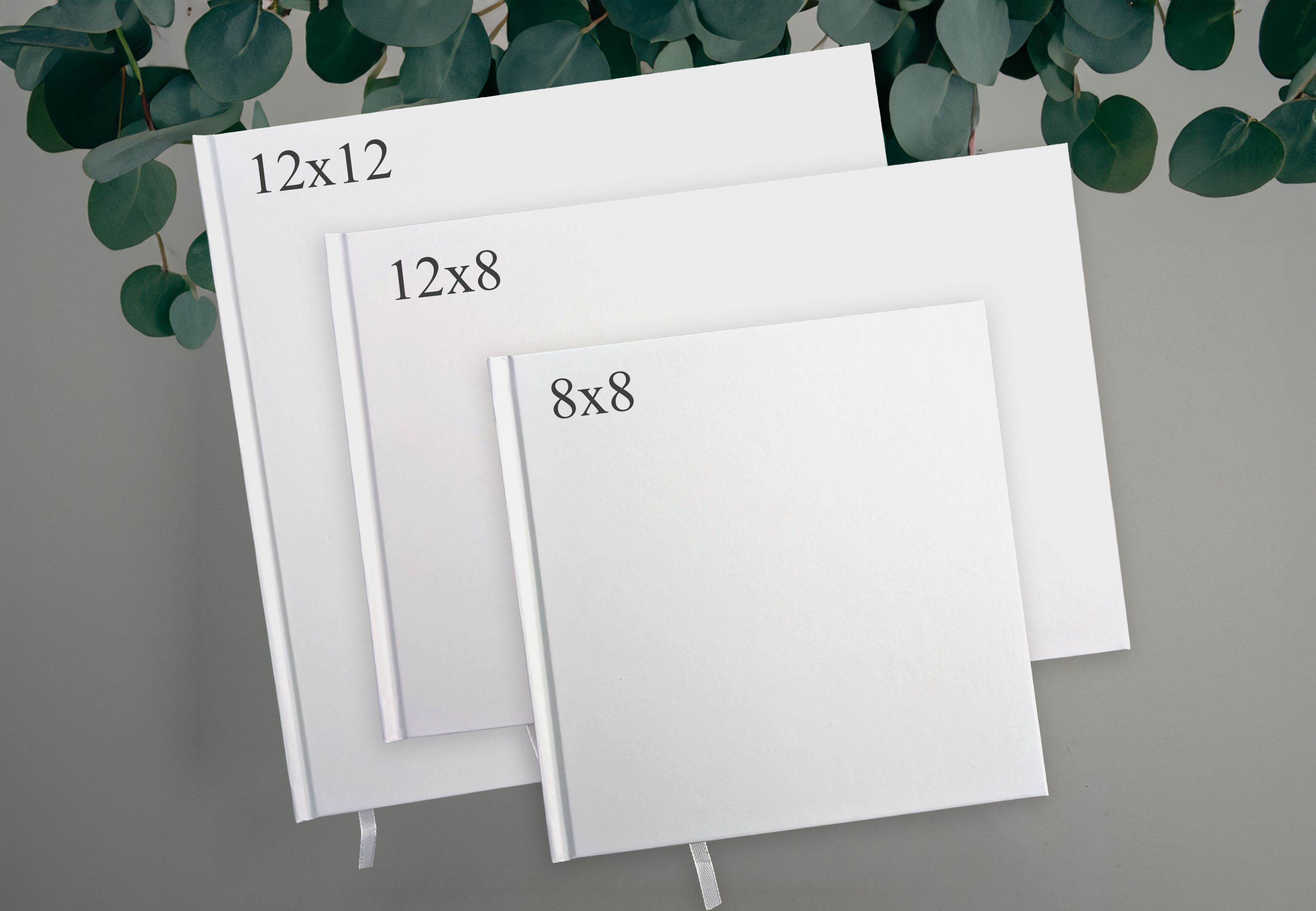 Evergreen Grace Guestbook