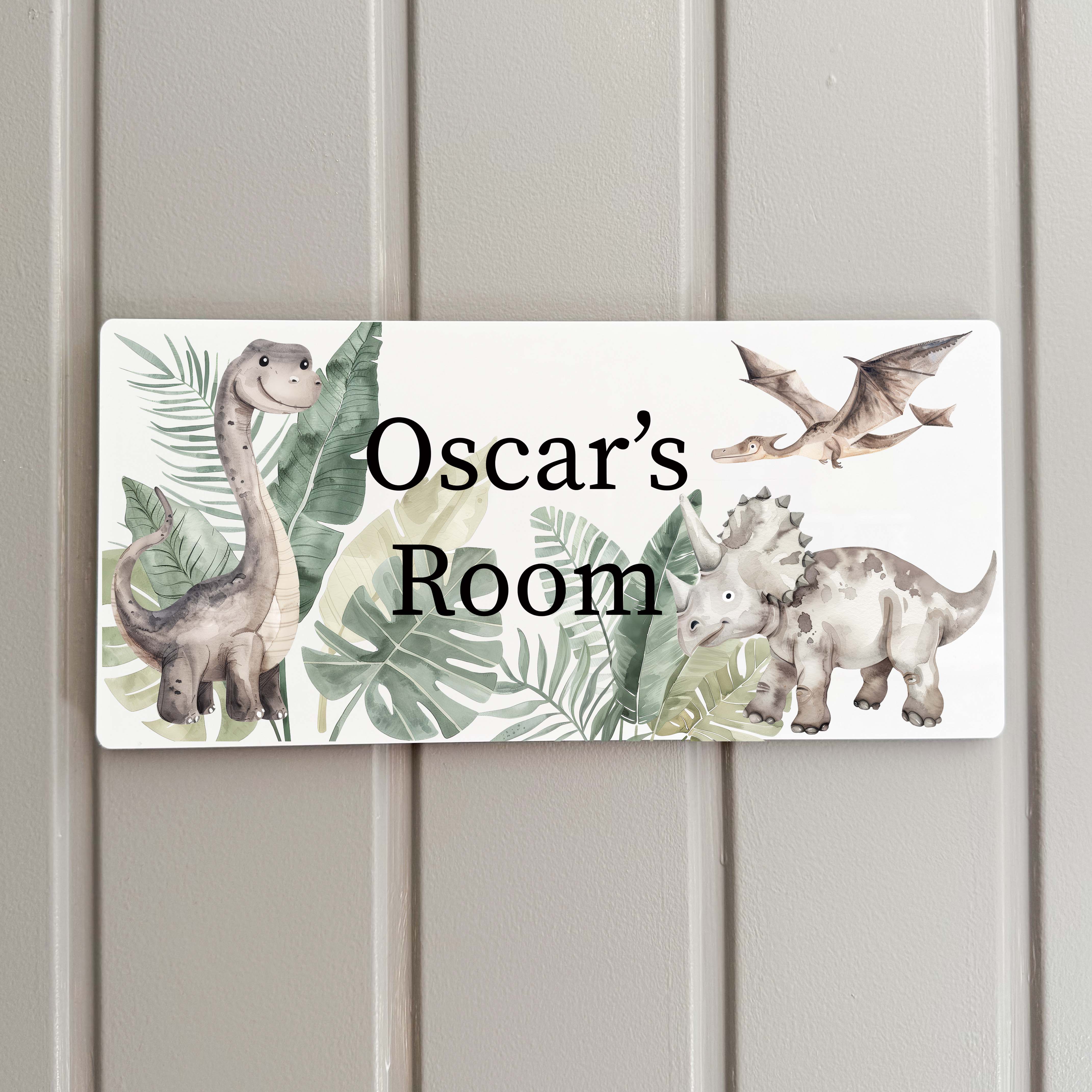 Dinosaur Acrylic Bedroom Door Sign