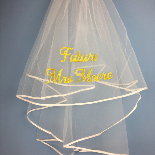 Hen Party Veil - Occasionally Cute