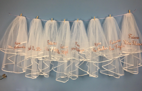 Hen Party Veil - Occasionally Cute