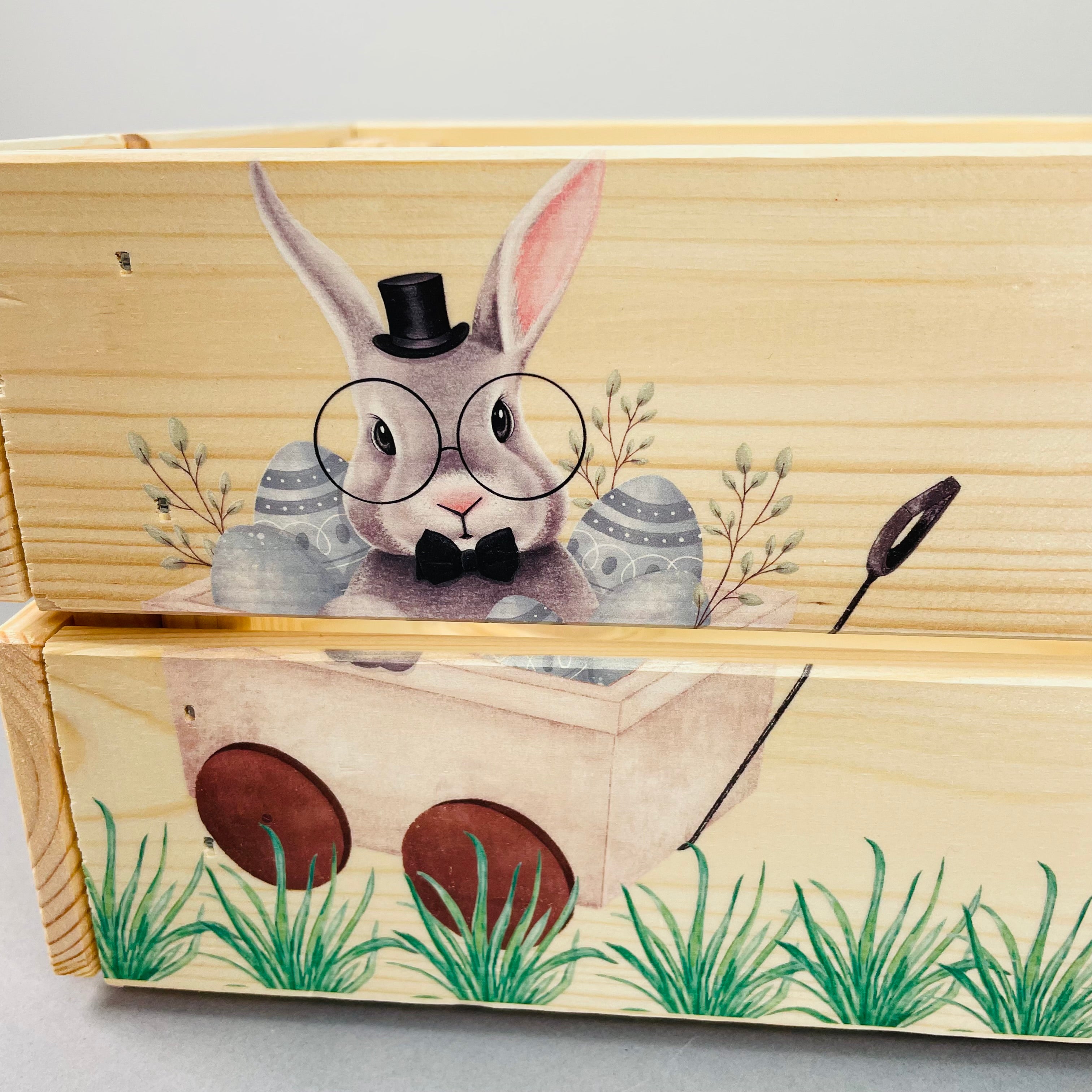 Boy Bunny Easter Crate